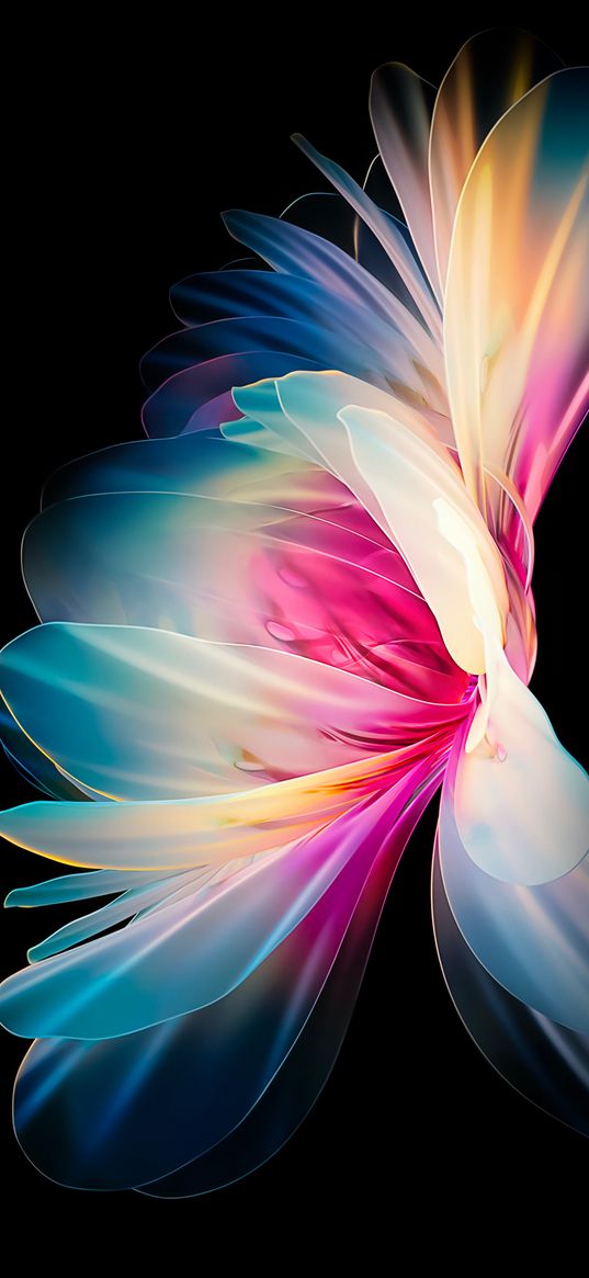 flower, drawing, neon, color