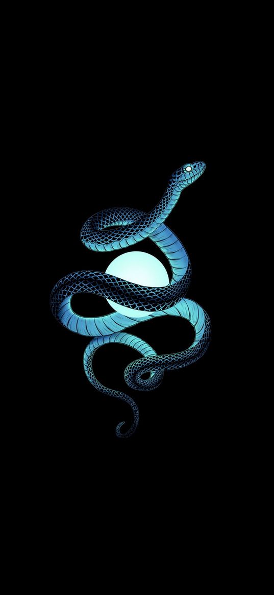 snake, art, light, black