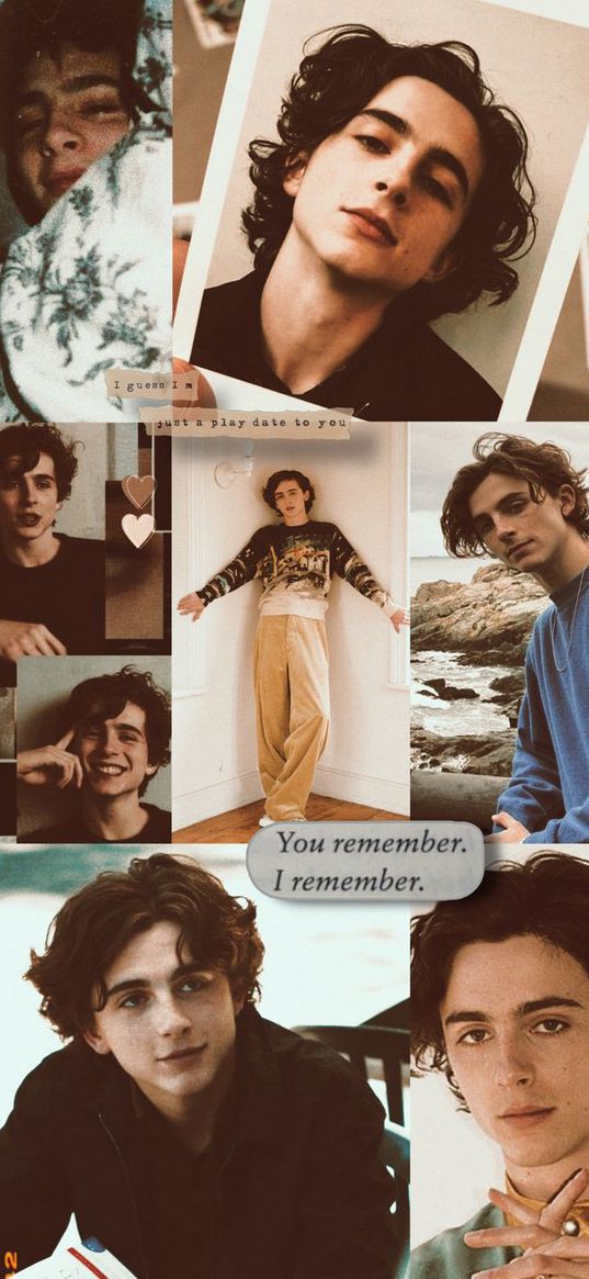 timothèe chalamet, cute, dune, actor, collage