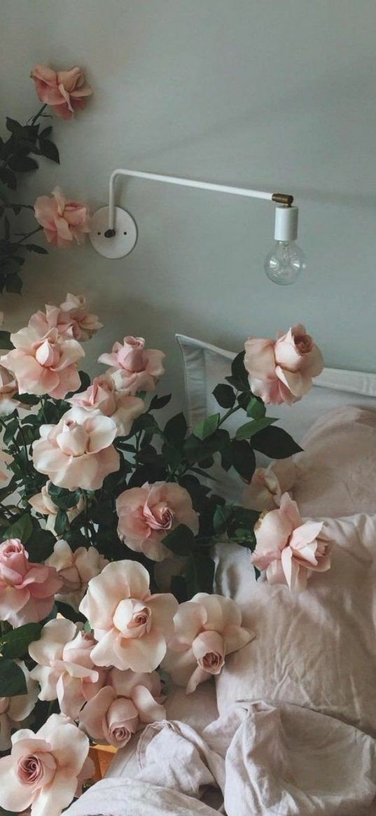 flowers, pastel, aesthetics, beauty, pink, gray