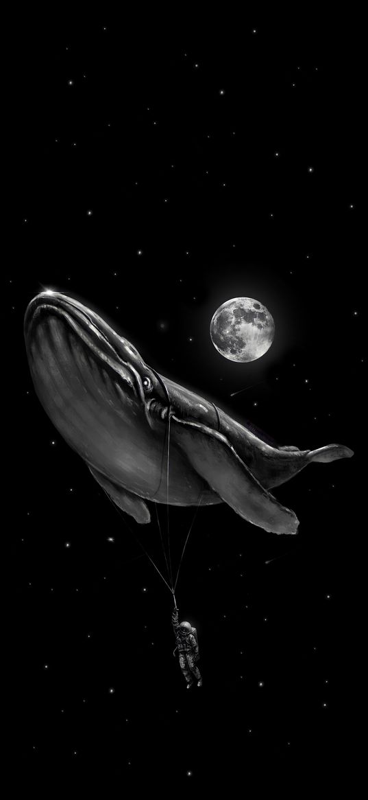 whale, flight, moon, astronaut, space, night, stars