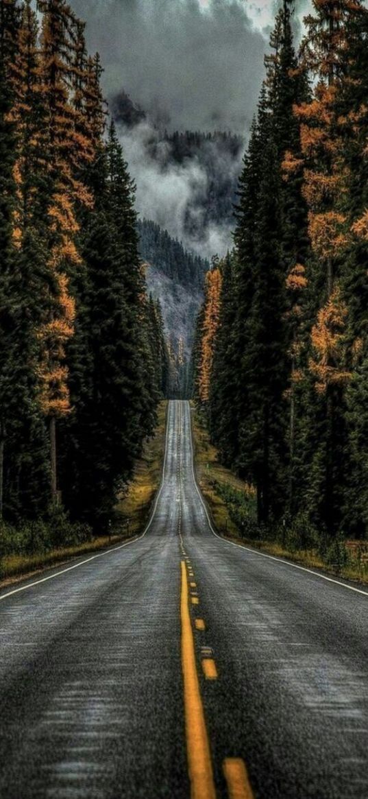 road, fog, forest, mountains, darkness, loneliness, melancholy