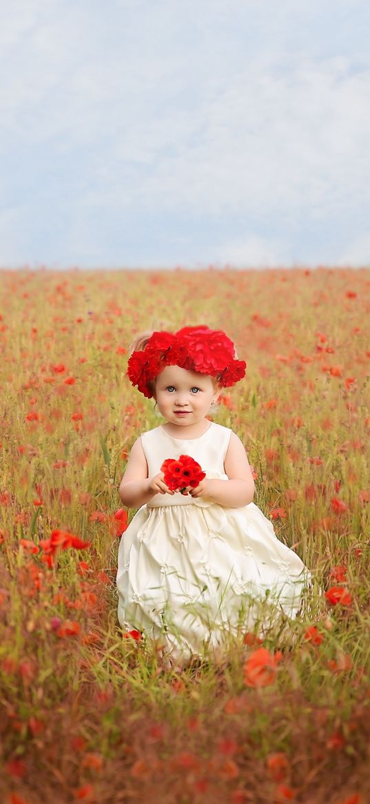 girl, child, poppies, flowers, field