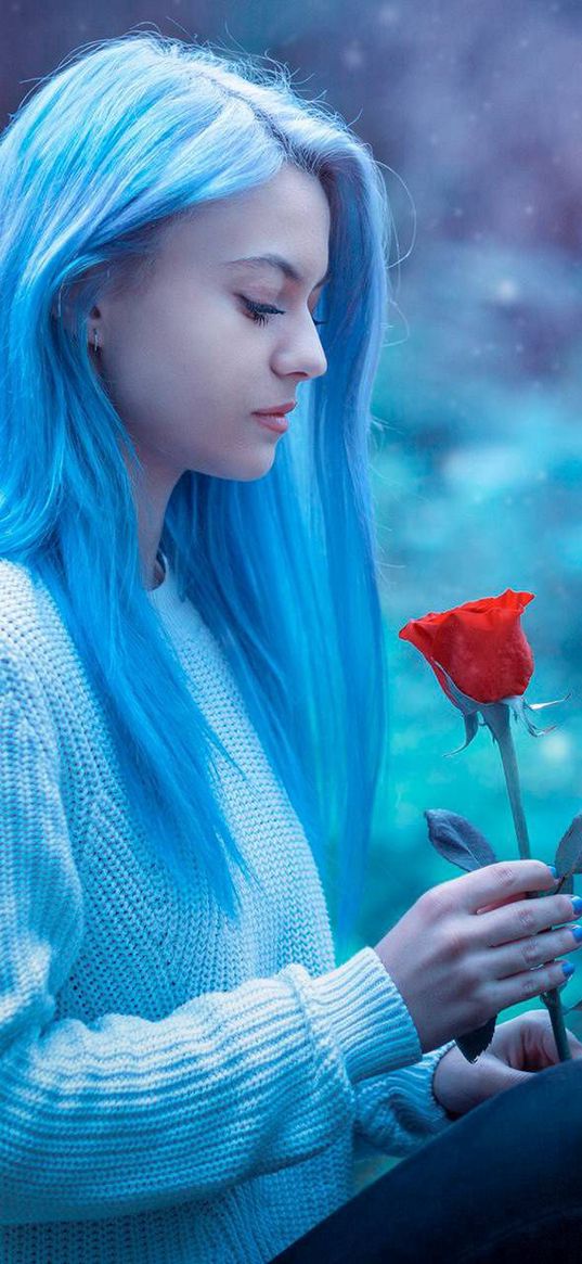 blue, girl, hair, rose