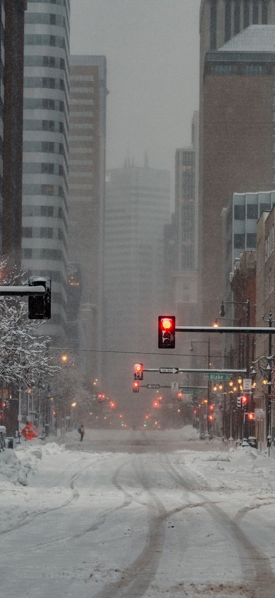 new york, winter, snowfall, snow, city, street, buildings, traffic light