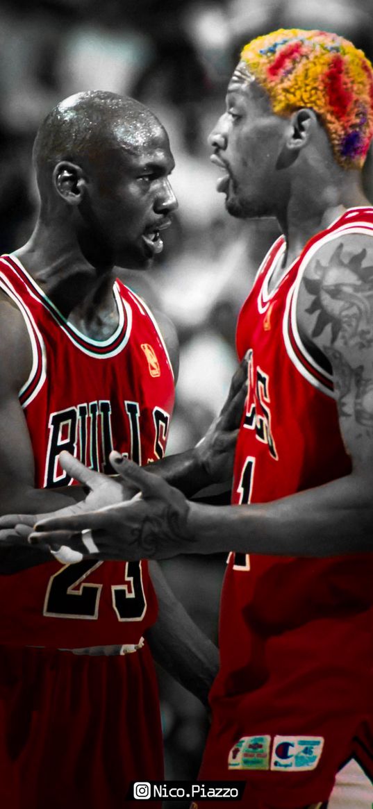 dennis rodman, michael jordan, chicago bulls, basketball, nba