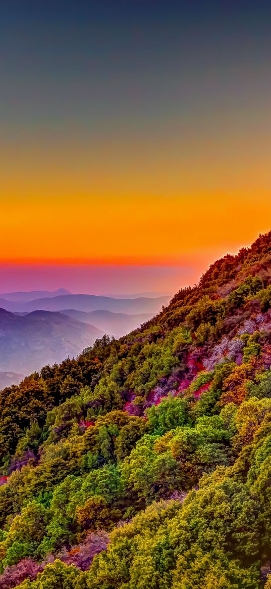 mountain, hills, mountains, trees, nature, sunset, orange sky, sky