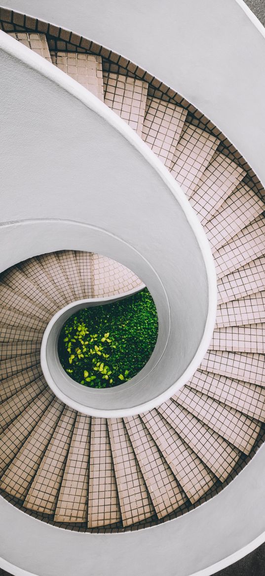 stairs, steps, grass, flowers