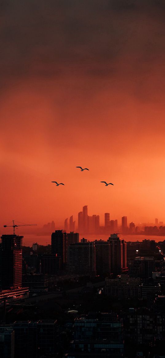 city, sunset, birds, smoke, mist, art