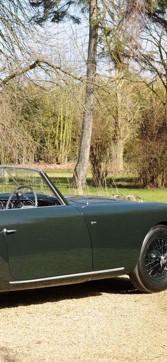 aston martin, 1952, green, side view, style, cars, retro, nature, trees, shrubs