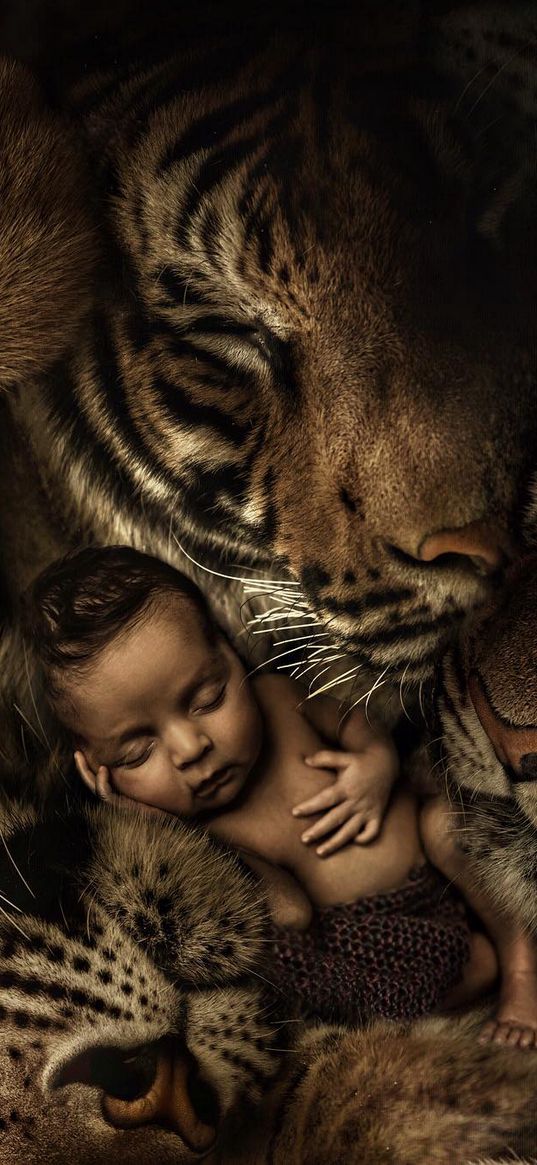 tigers, newborn, baby, sleep