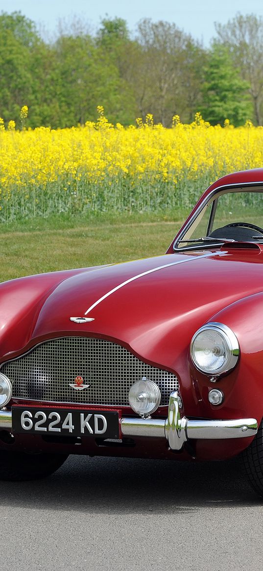 aston martin, 1958, red side view, style, cars, retro, nature, field, flowers, trees, asphalt