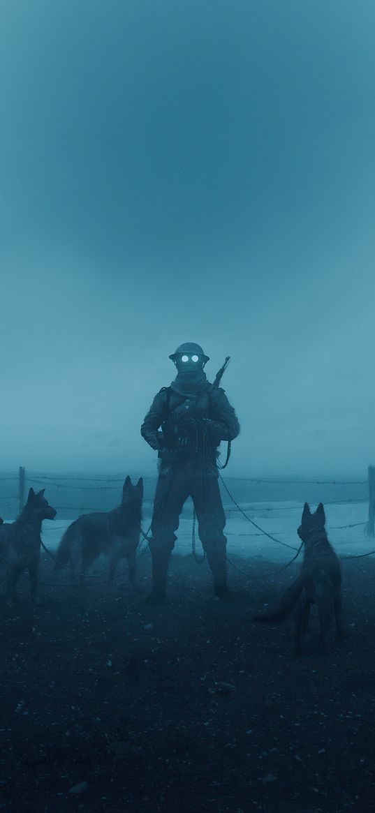 soldier, war, alone, dogs