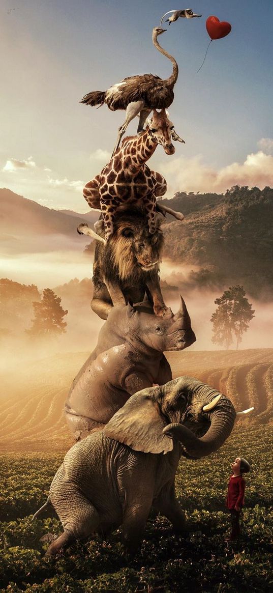 elephant, rhino, lion, giraffe, wild animals, art