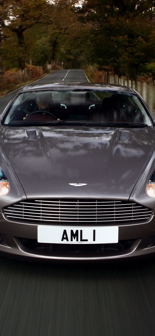 aston martin, db9, 2004, gray, front view, style, cars, speed, nature, trees, grass