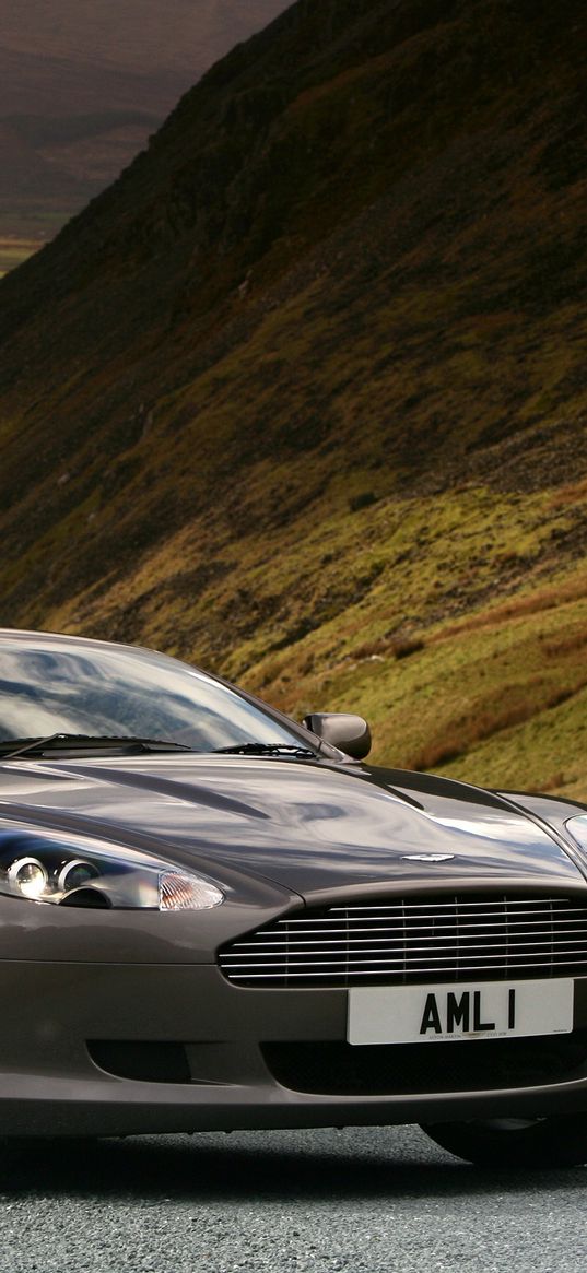 aston martin, db9, 2004, metallic gray, side view, style, cars, nature