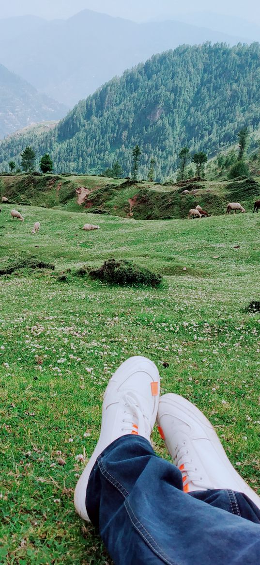 greenery, white shoes, jeans, mountains, animals