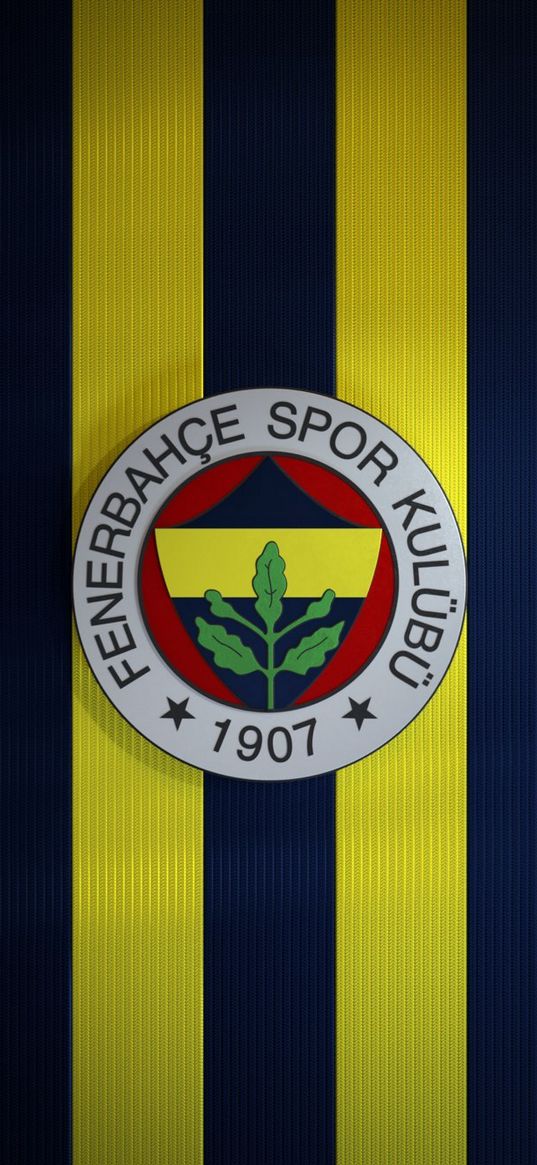 fenerbahce, football club, turkey