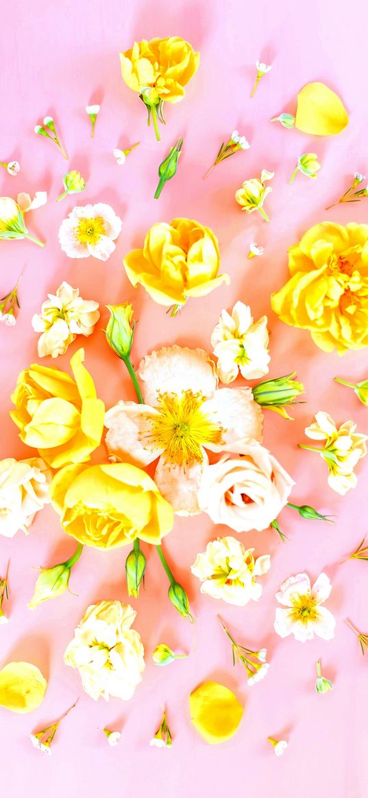 flowers, composition, yellow, pink background