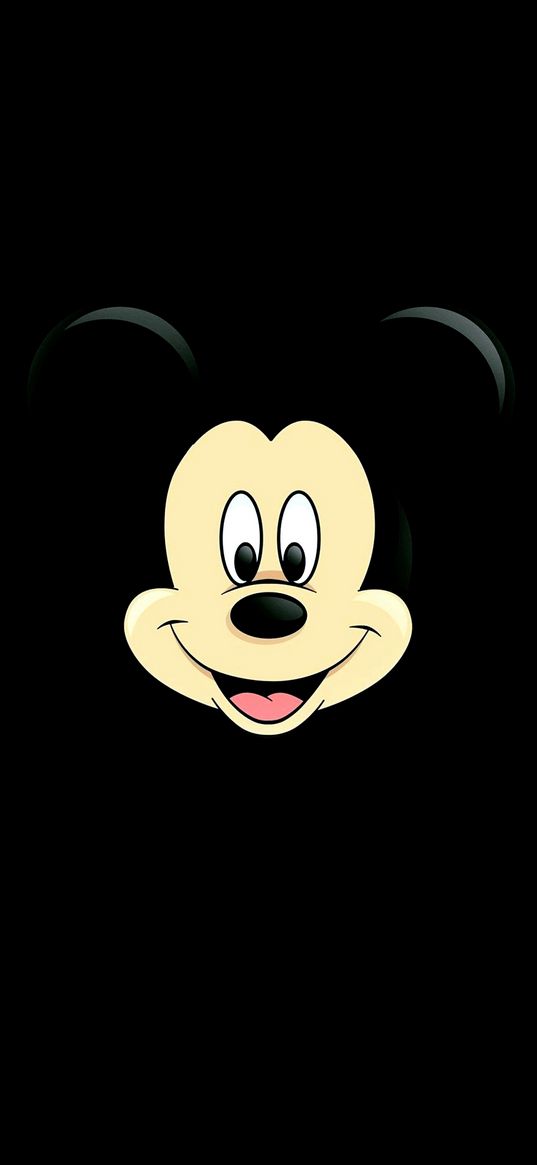 mickey mouse, character, mouse, disney