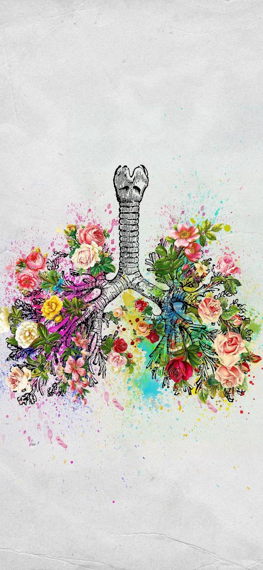 lungs, flowers, white background, digital art