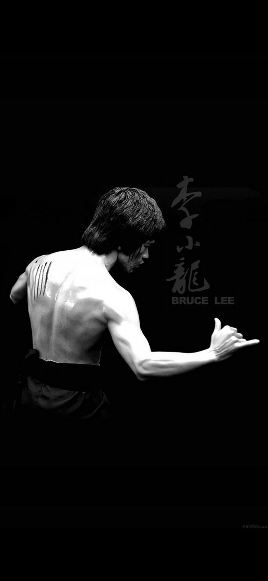 bruce lee, celebrity, man, legend, karate