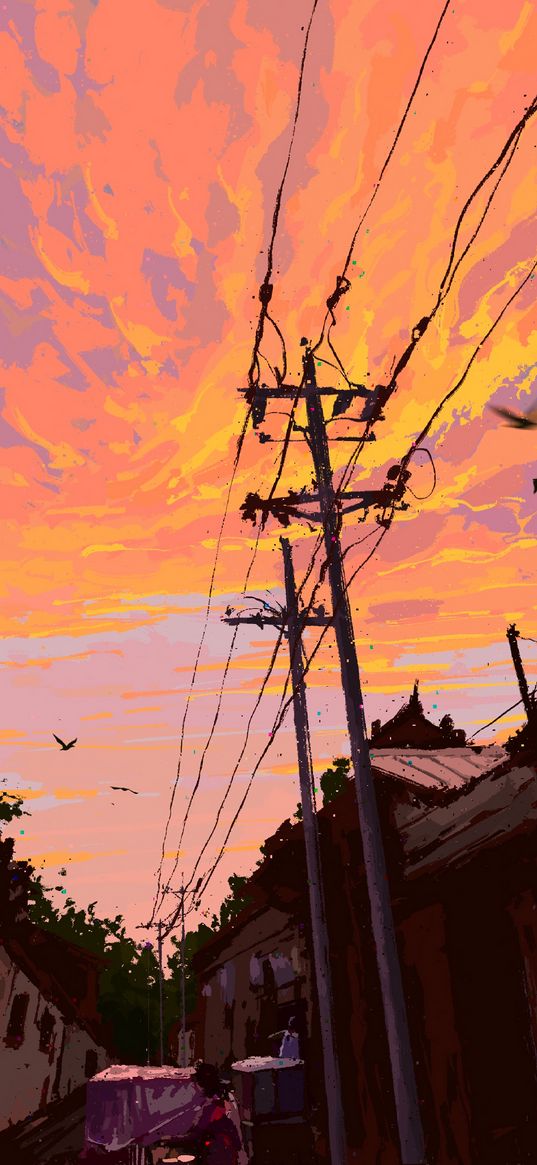 sky, wires, electric pillar, sunset, birds, city