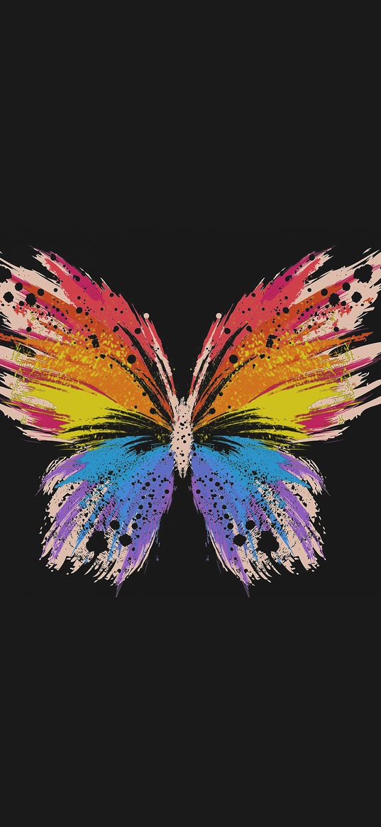 butterfly, wings, art, colored, black