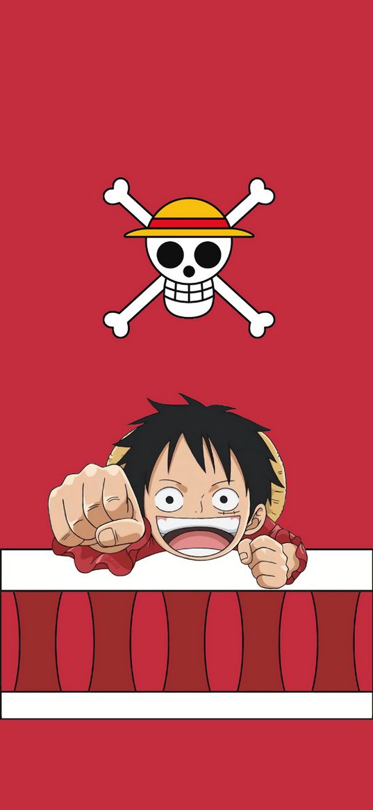 monkey luffy, one piece, anime, character, pirate, red, skull