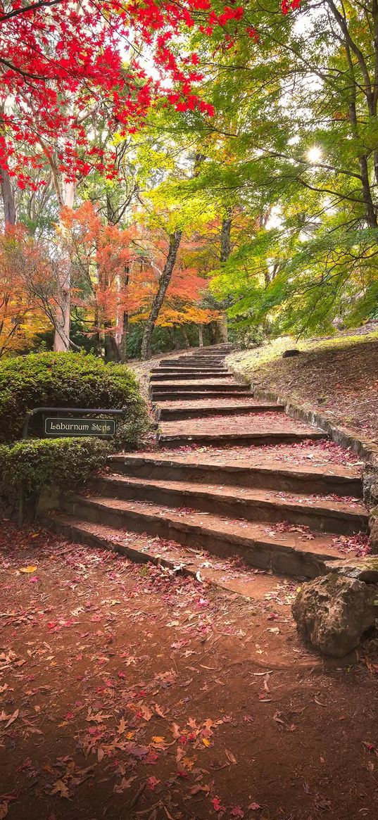 steps, garden, nature, green