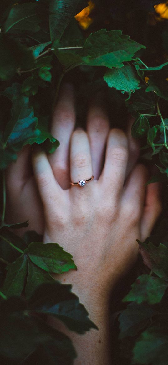 ring, love, hands