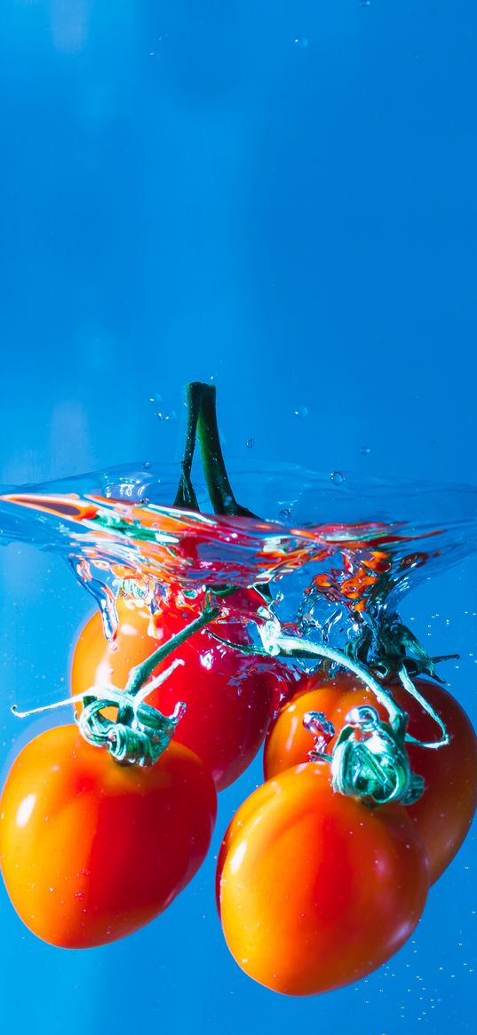 tomato, water, food