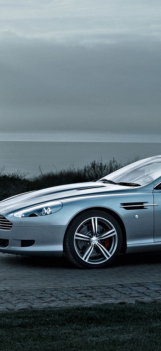 aston martin, db9, 2008, metallic gray, side view, style, cars, nature, sea, grass