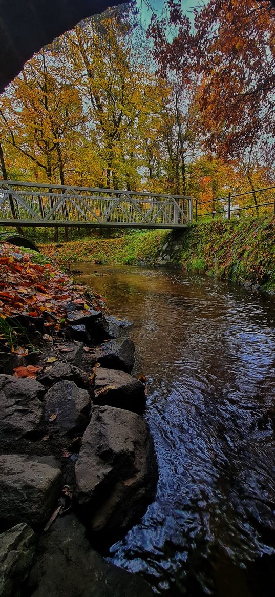 river, autumn, leaves, stones, bright colors