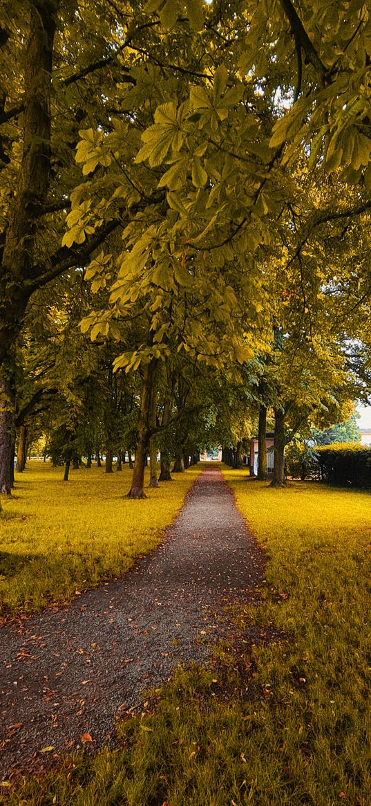 trees, path, autumn, grass, nature