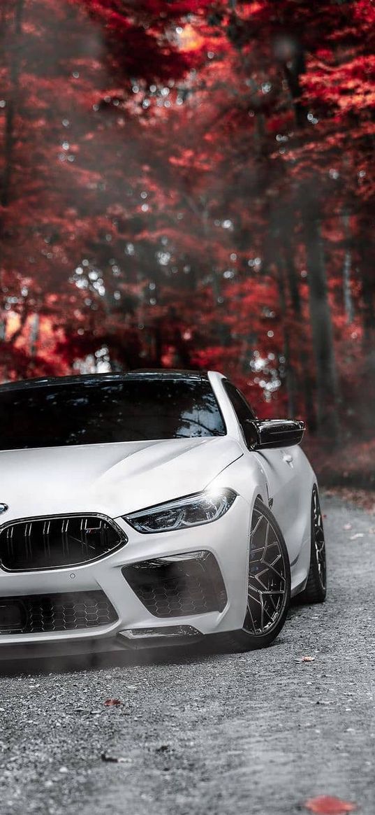 bmw, m8, car, white, trees