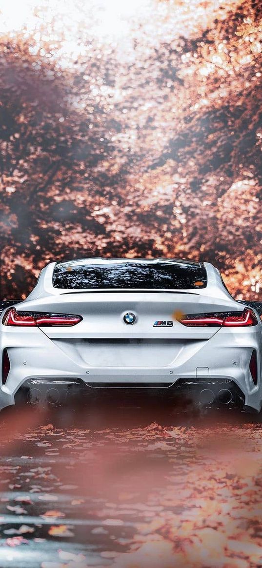 bmw m8, car, autumn, falling leaves, puddle