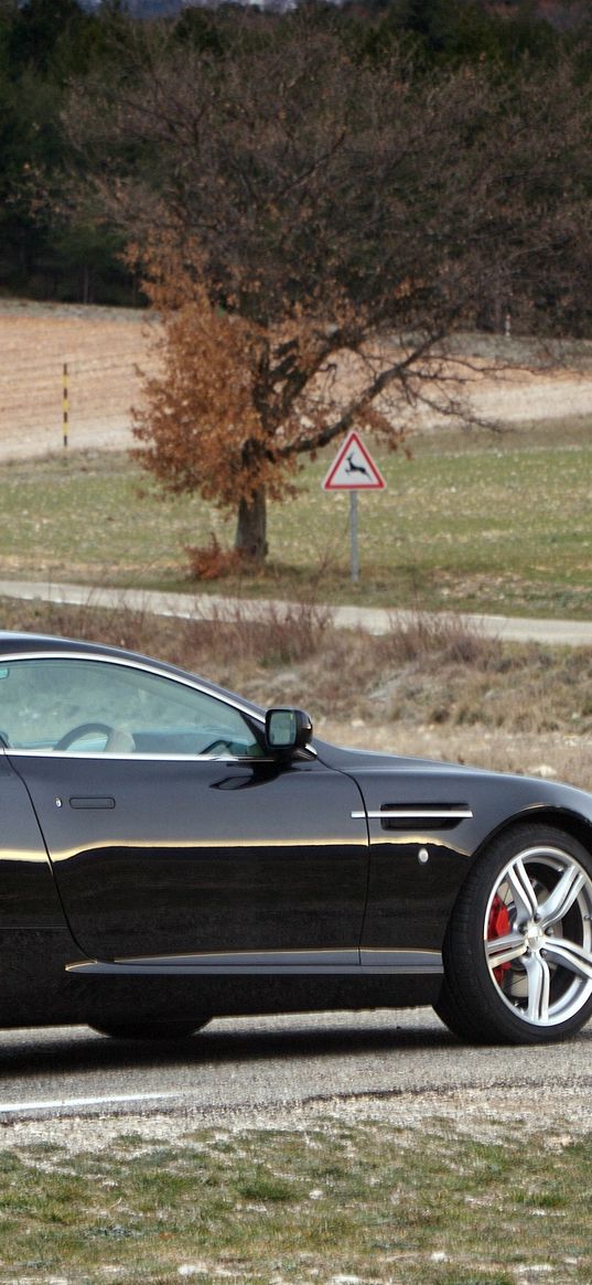 aston martin, db9, 2006, black, side view, style, sports, cars, nature, trees