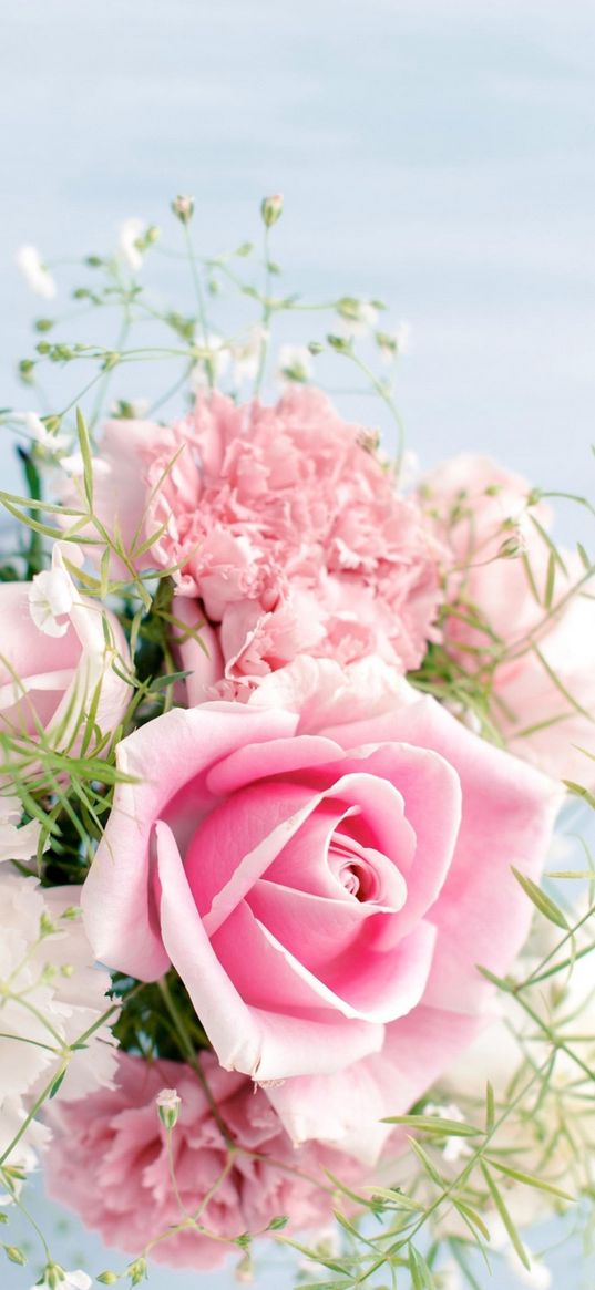 rose, flowers, bouquet, pink, light background