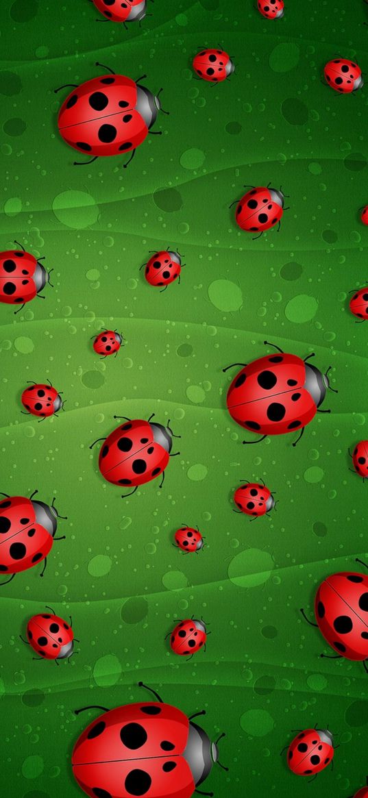 ladybug, green background, wallpapers