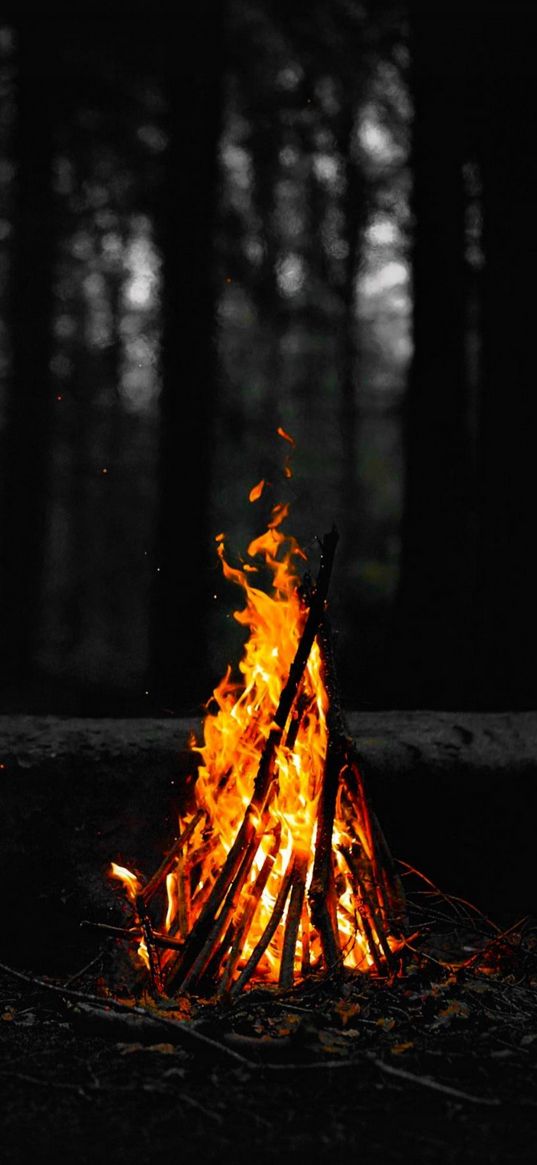 bonfire, fire, flame, forest, orange