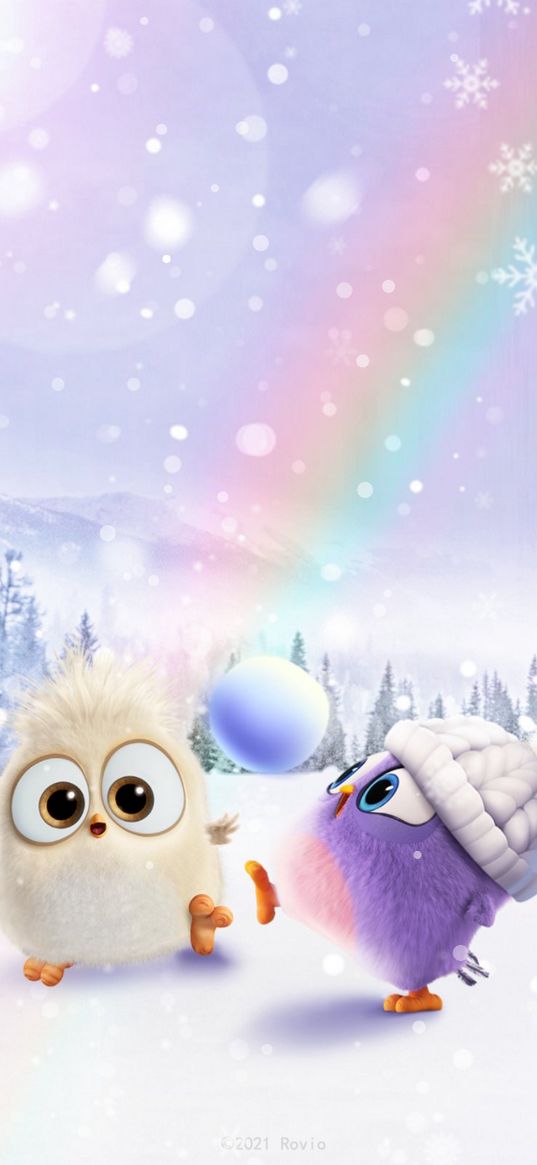 angry birds, chicks, rainbow, ball, snow, winter