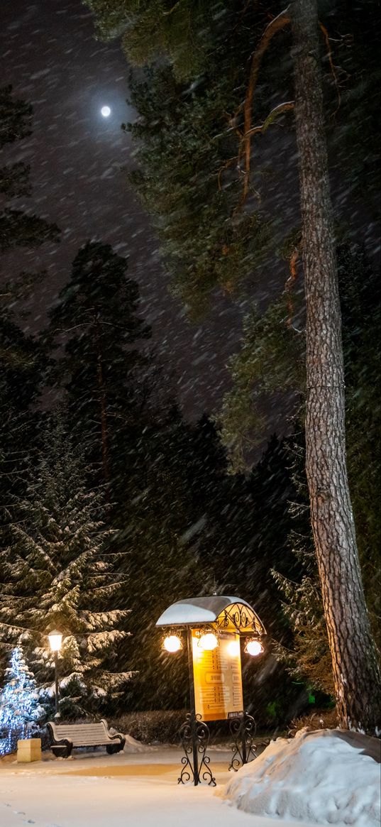 winter night, snow, trees, street lamps