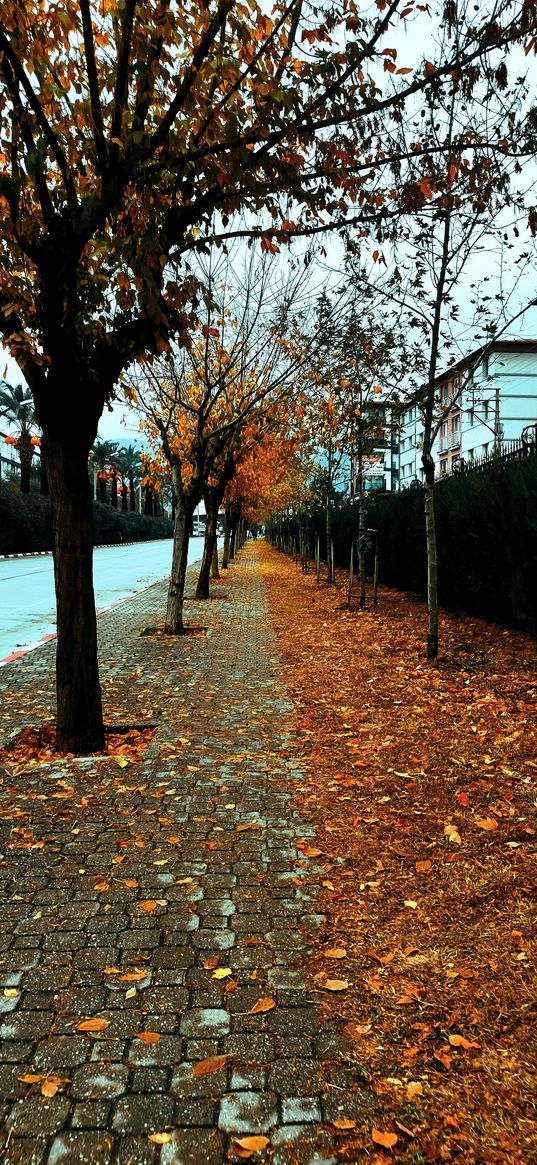 alley, autumn, leaves