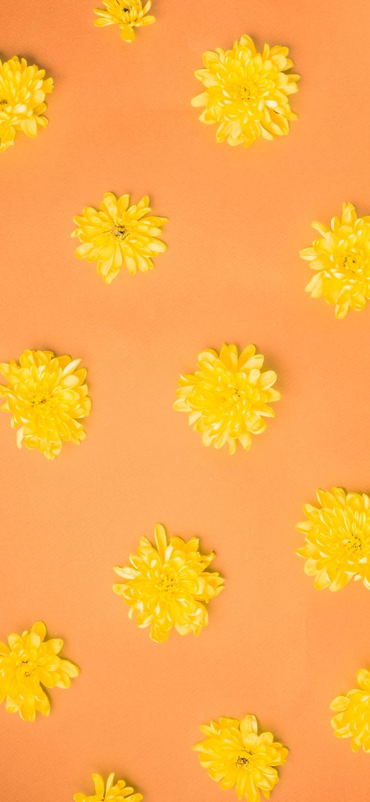 flowers, yellow, orange background