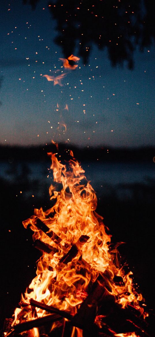 fire, night, black, bonfire, stars