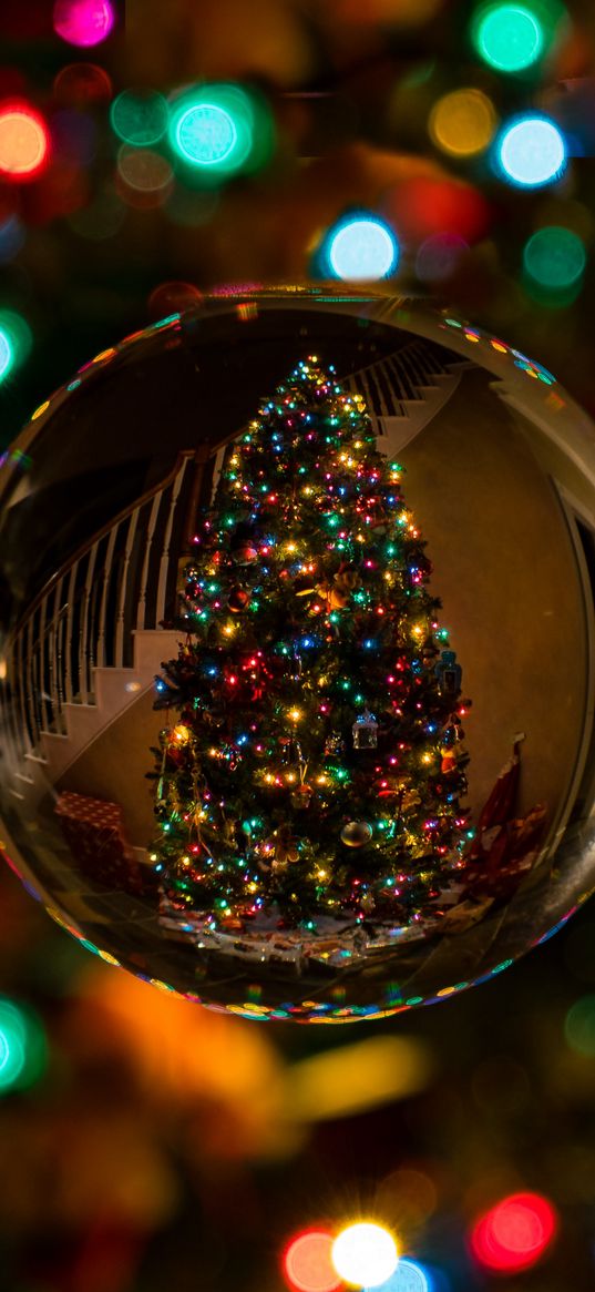 tree, ball, christmas, christmas lights