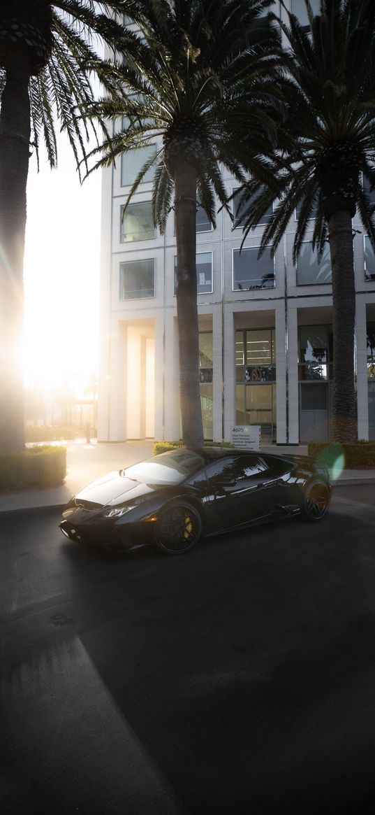 lamborghini huracan, car, road, palm trees, sunlight