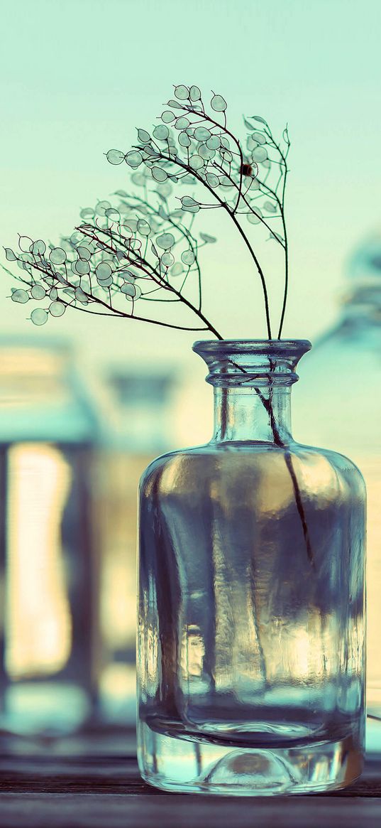 vase, flowers, bouquet, still life, glass