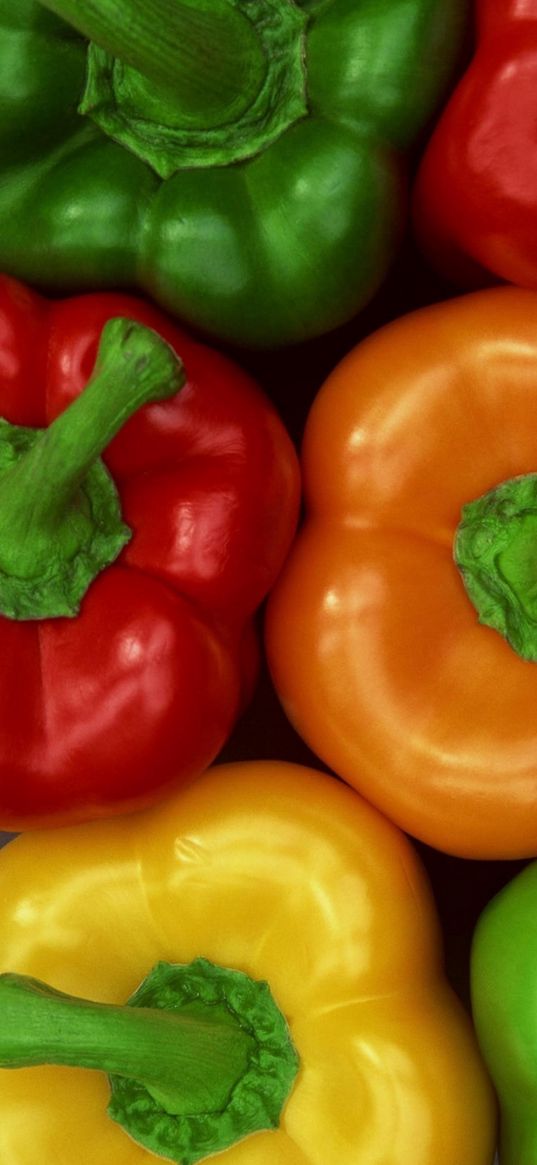 pepper, vegetables, red, yellow, orange, green